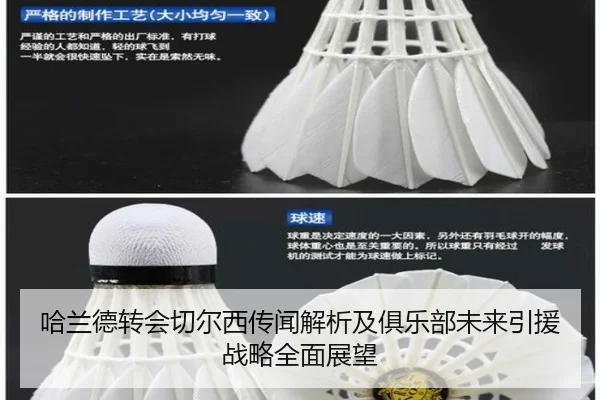 哈兰德转会切尔西传闻解析及俱乐部未来引援战略全面展望（QMH Sports）